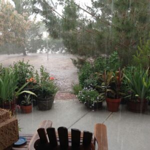Cloudburst of Water Successfully Diverted Around Veggie Garden Image